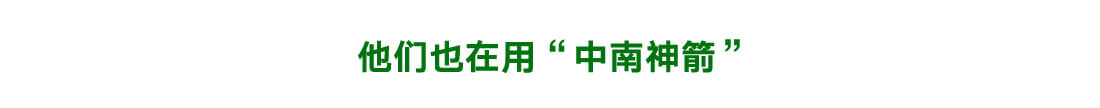 中南神箭竹胶板 木模板 砖托板 木方等成功案例