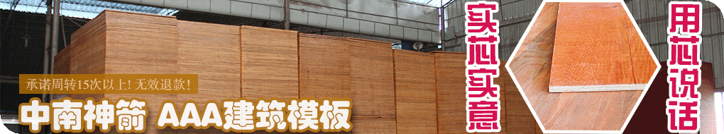 中南神箭建筑模板图片