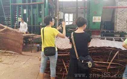 竹胶板厂考察