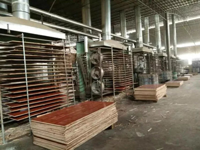 建筑木模板工厂生产