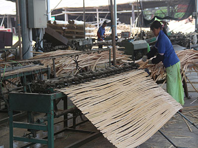 竹胶板原材料生产中