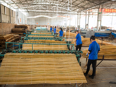  中南神箭竹胶板工厂生产中