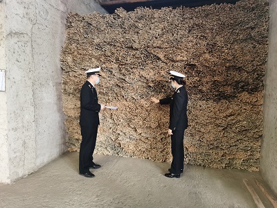 查看竹子干湿度