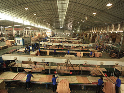 中南神箭竹胶板工厂