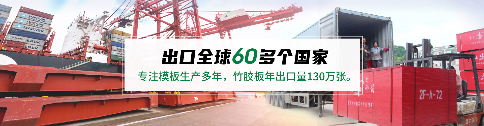 出口案例