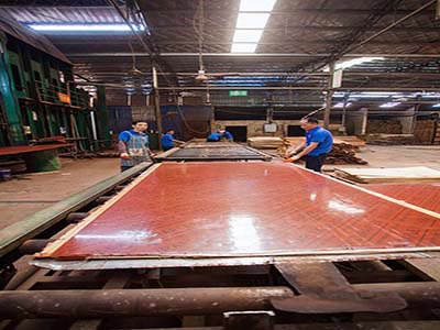 竹胶板工厂生产