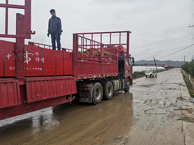 中南神箭竹胶板从样品时期，就住进了陈总的心里