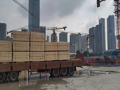 微信图片_20220222135256.jpg