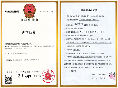 湖南中南神箭竹木有限公司成长历程